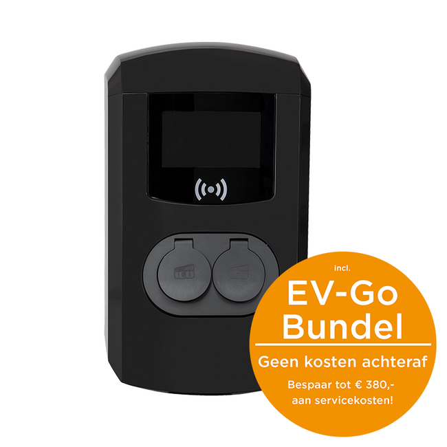 Alfen | Double Pro-line | 22kW | Grey | 2FC - Alfen